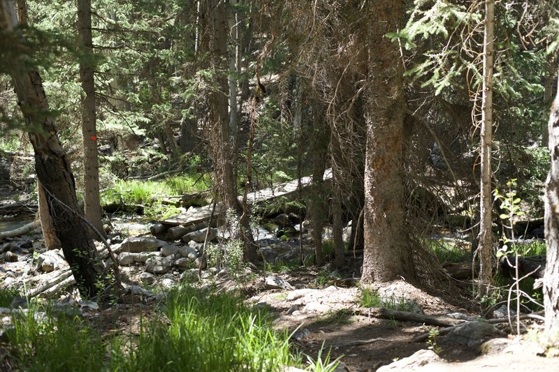 The Trail Drops Down And Crossed The Creek Via A Wooden Slat Bridge