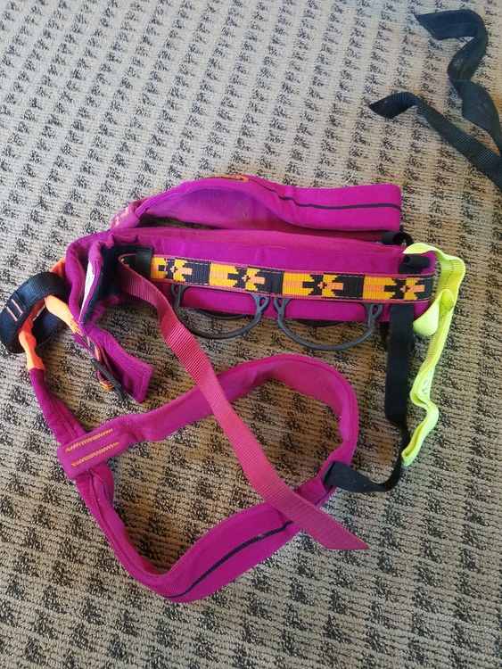 rei petzl harness