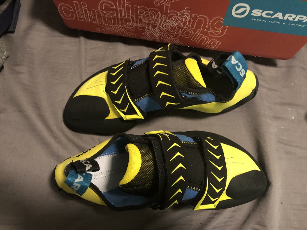 scarpa vapor v 42.5