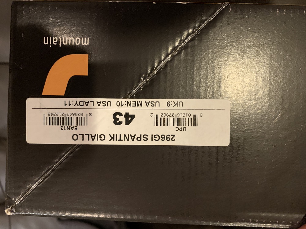 european size 43 to us