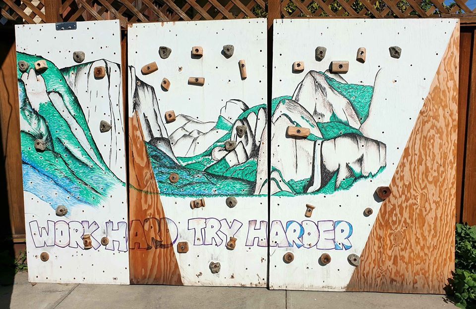 FS climbing boards + holds (San Jose, CA)