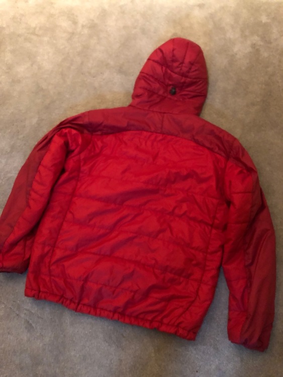 patagonia micropuff hooded