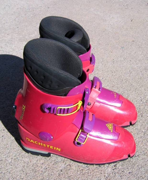 FS: Dachstein AT/randonnee ski boots - size 29 - $75 - in ...