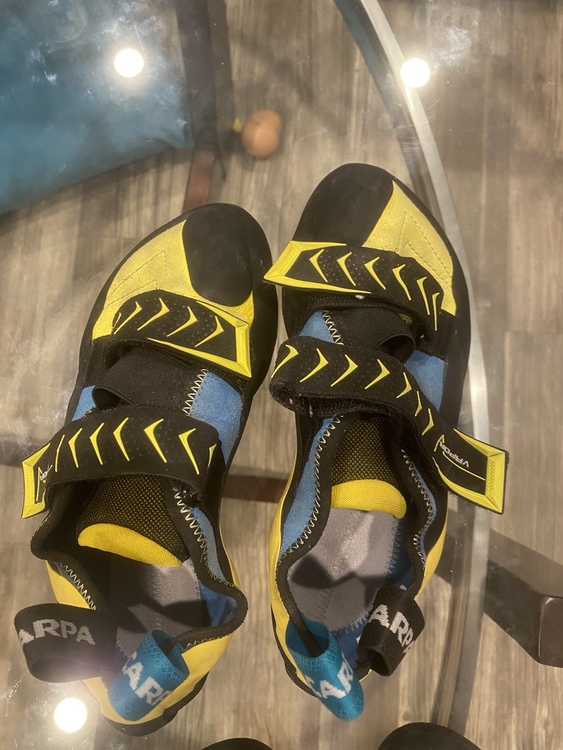 scarpa vapor v 41