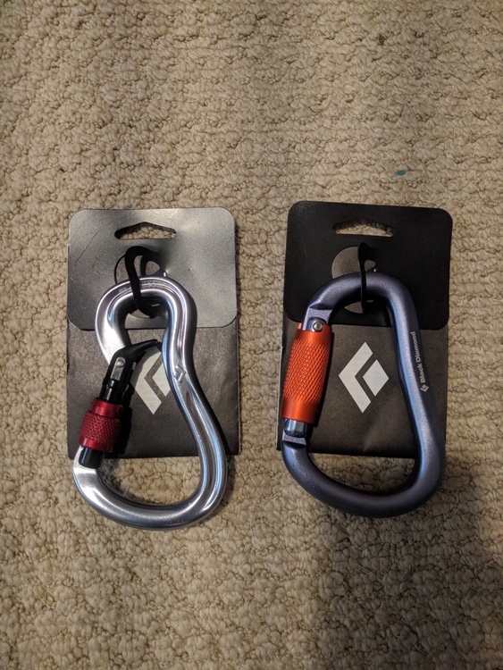 FS New BD ATC Guide and BD Locking Carabiners