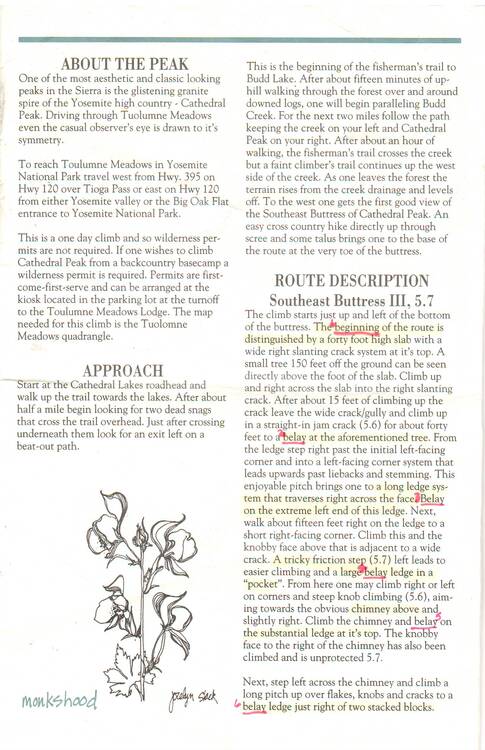 Allan craig essay 03 picture