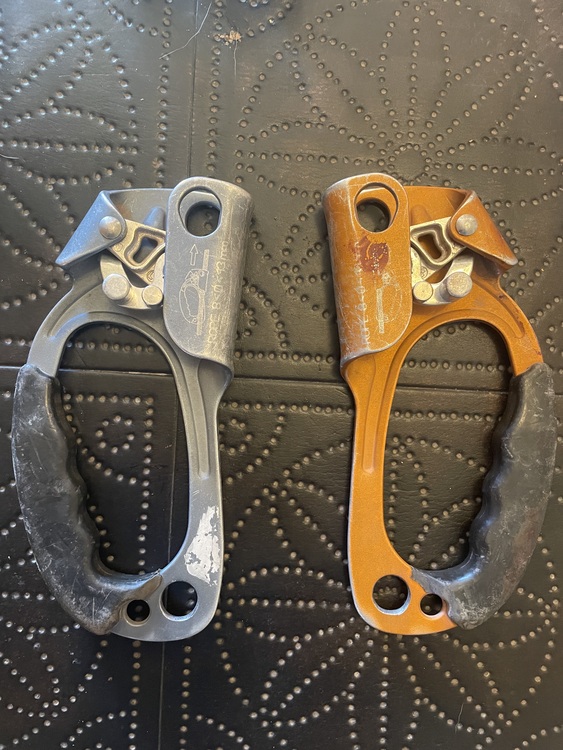ABC Ascenders pair (price lowered + all will be donated to ASCA)