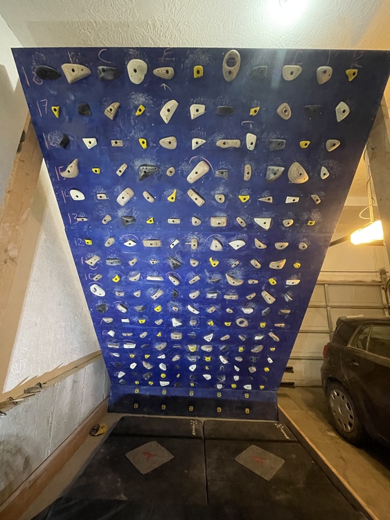 FS Complete Freestanding MoonBoard