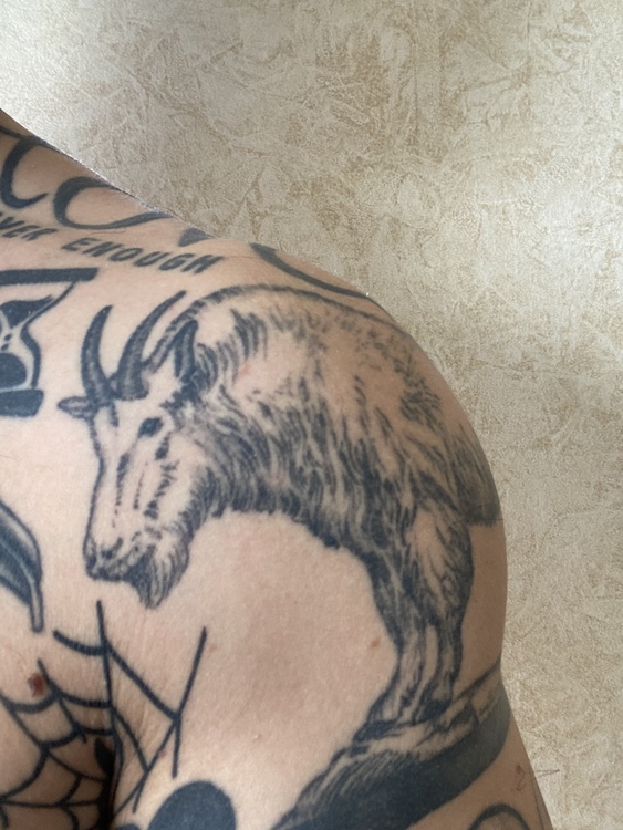 Buy Ibex Mountain Goat Tattoo Stencil SVGDXF for Laser Cut Cnc Online in  India  Etsy