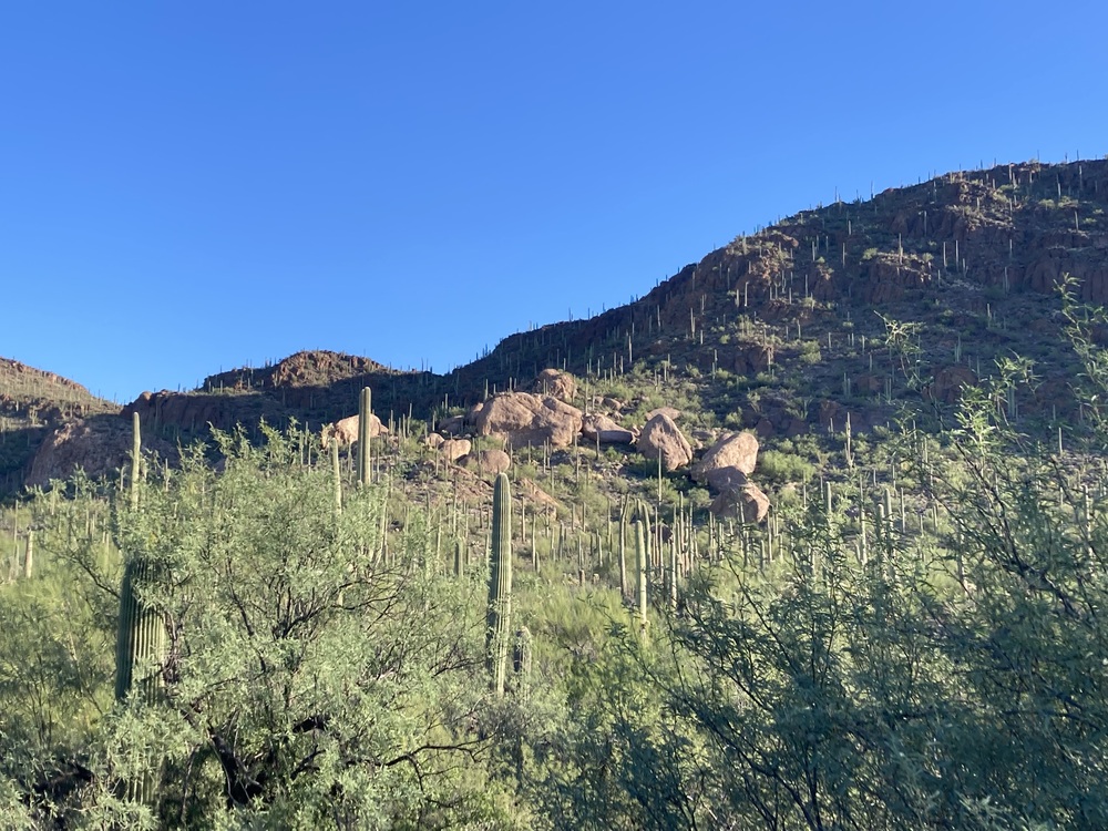 Yetman Trail Tucson Mountains Boulders - Tucson's Buttermilks?