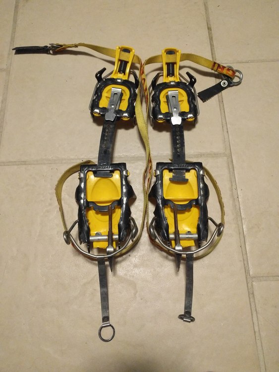 FS old gen Petzl Quarks, Grivel G14, DPS skis, G3 skins, gloves