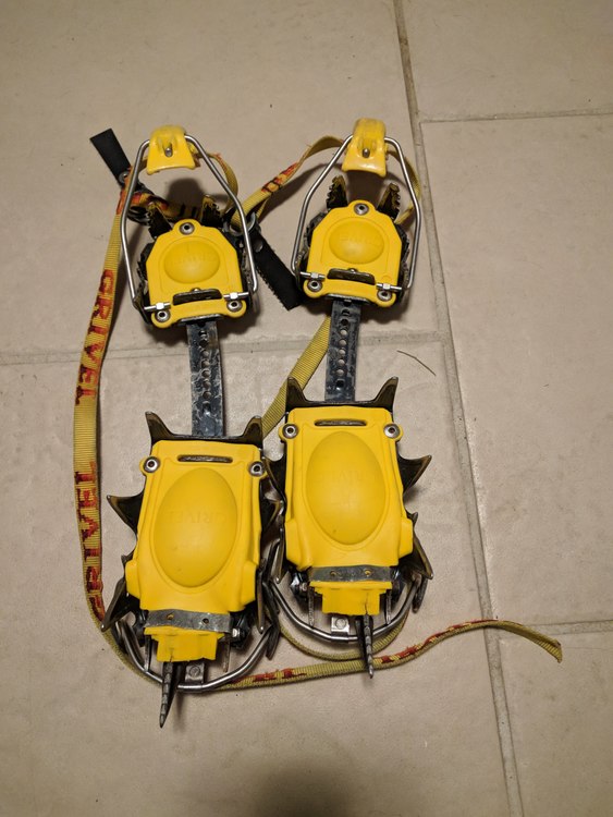 FS old gen Petzl Quarks, Grivel G14, DPS skis, G3 skins, gloves