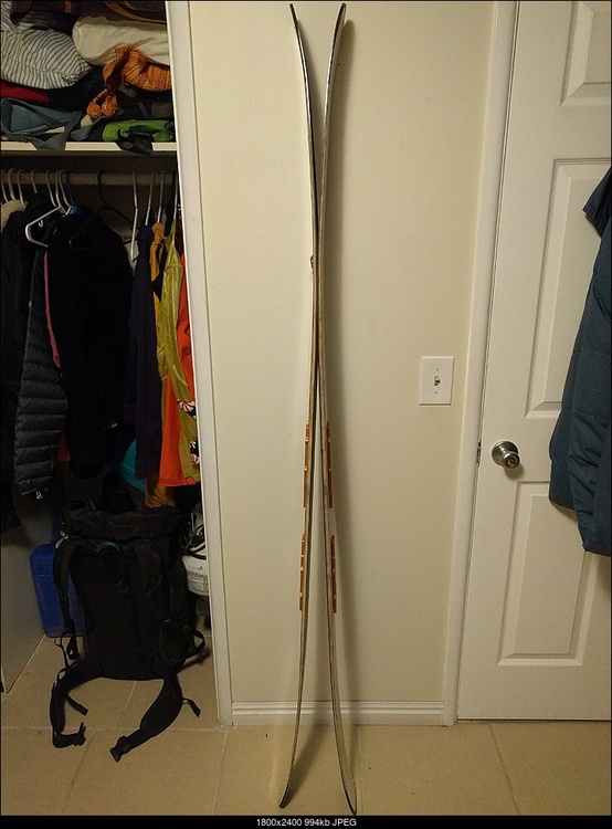 FS old gen Petzl Quarks, Grivel G14, DPS skis, G3 skins, gloves