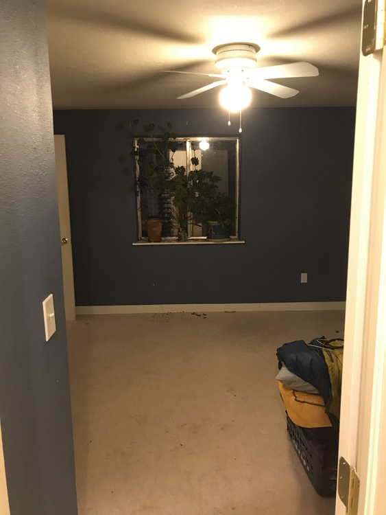 Great room for rent in Lyons