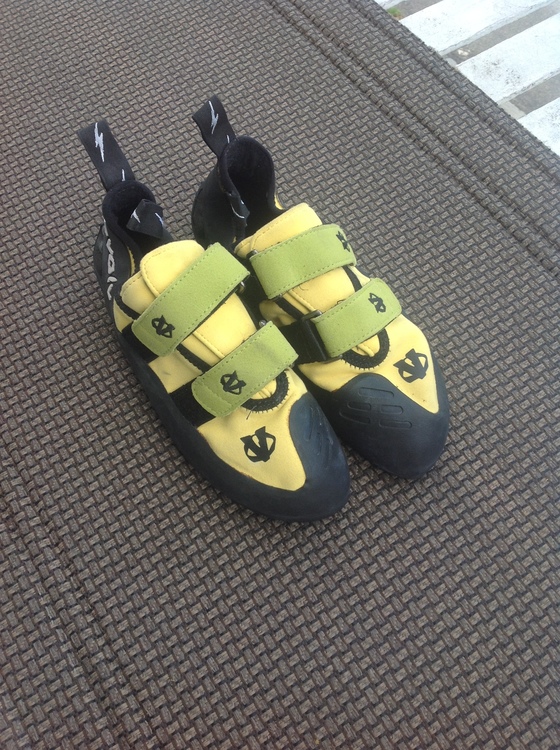 evolv pontas
