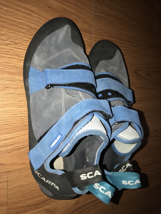 scarpa origin climbing shoe