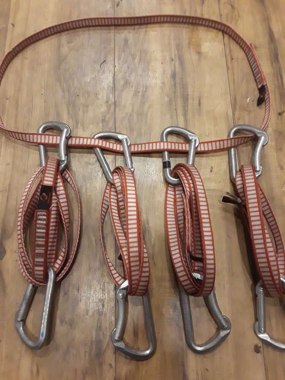 FS Alpine draws and sling