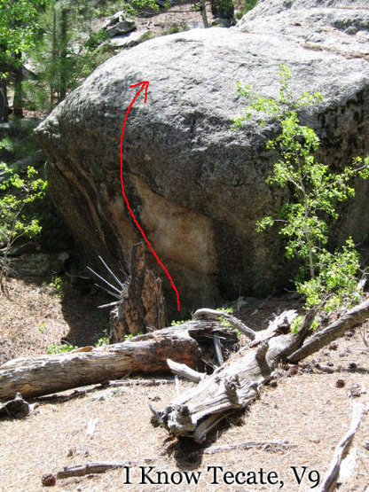 Beta Photo of "I Know Tecate"