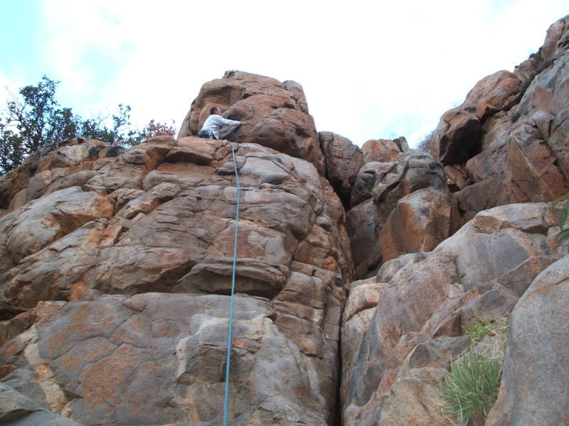 Chi leading The Tower