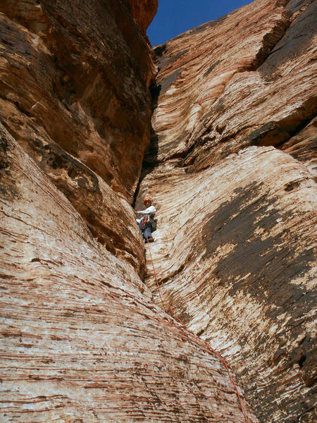 Larry looking gripped on the last pitch of Olive Oil.
