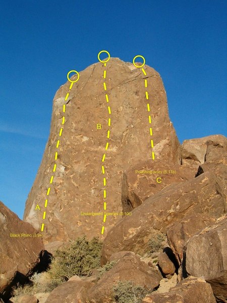 The Tusk (South Face), Joshua Tree NP
<br>
<br>
A. Black Rhino (5.9+)
<br>
B. Endangered Species (5.10c)
<br>
C. Poaching Ivory (5.11b)
