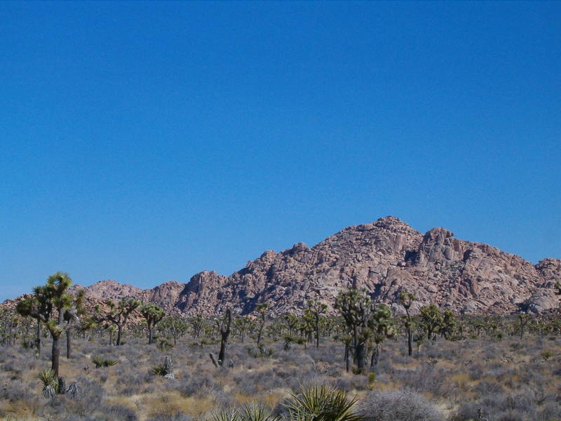 A small portion of the northern Wonderland as seen from Key's Corner. Visible (from r-l) is Outward Bound Slab, Hidden Dome, Cool Dome and Ellsmere Island.