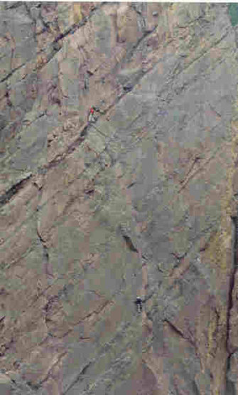 I can see my house from here!! <br>
Andrew Speers and Dave Kriz on Bastille Crack.<br>
Photo by Nicole Speers