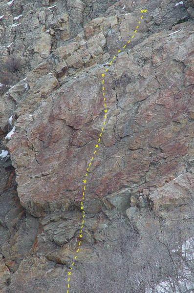 Red Red Whine 5.8