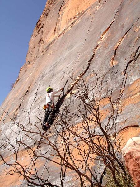 Todd Lane cruising Straight Shooter peacefully, and gracefully.<br>
<br>
When I led this route awhile back, I found it to be a fun and straight-forward lead, but too physically demanding, for myself anyway. I was happy I made it to the top, but had to hang dog.<br>
<br>
Poor Mountain Project J.C. (John Campbell) got an earful from me that day! But as J.C. says..."It's all good!"<br>
<br>
Note: The bolt line to the right of Straight Shooter is the climb 'Sidewinder'