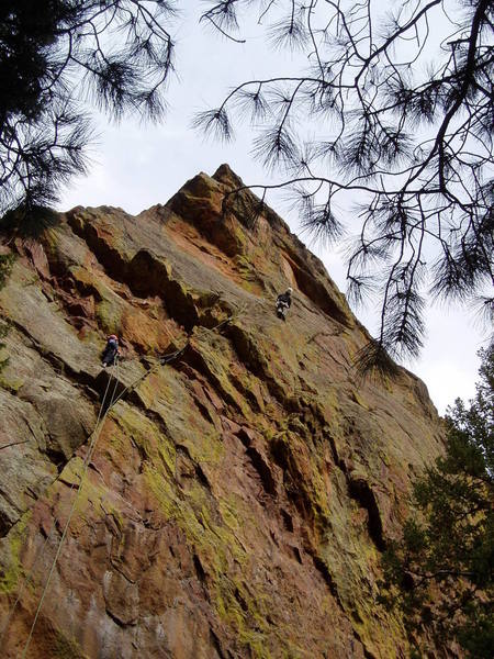 Looking at the moves to the 3rd bolt. This was my high point. I downclimbed to Luke, we rapped, and then TR'd it.<br>
Photo by Chuck Graves.