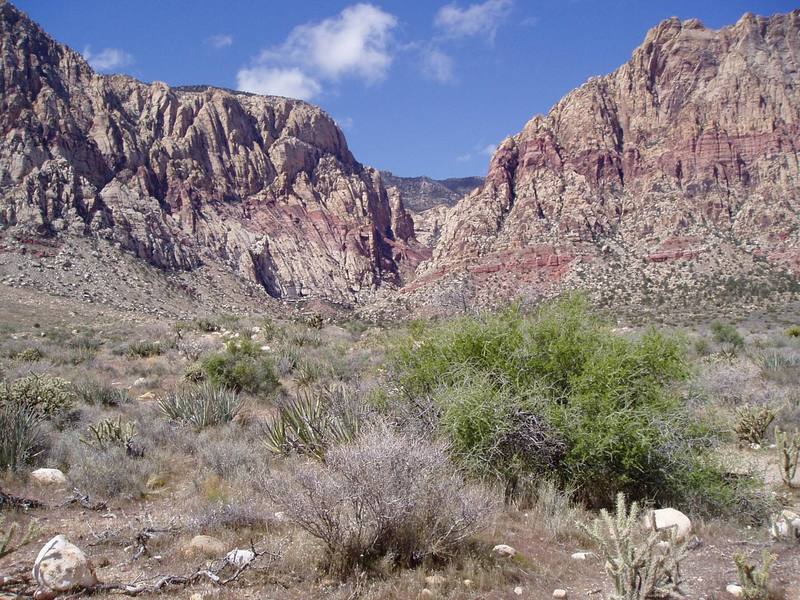 A shot looking into the canyon from the approach. Image by Chris Parks.