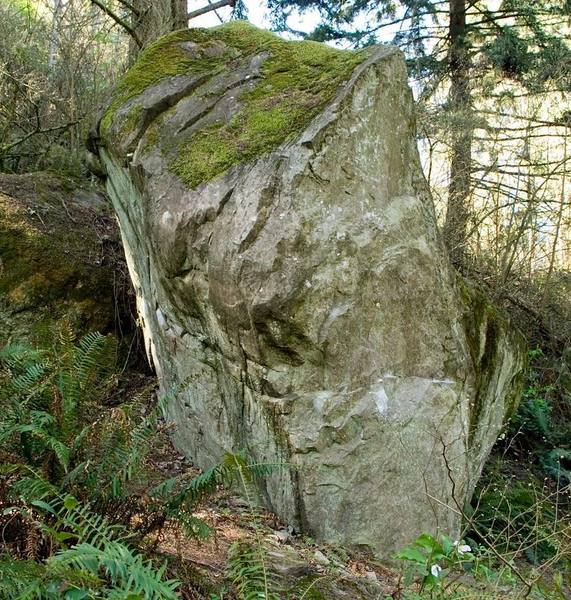 The South face of the Titelist boulder.
