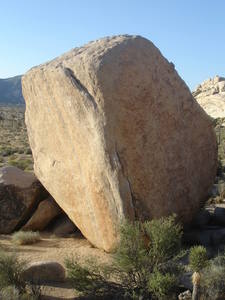 Climb White Rastafarian, Joshua Tree National Park