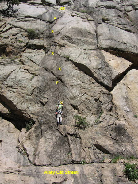 Alley Cat Street from across the road. The route climbs the prominent water streak; five bolts and one pin in 100'. Bruce Hildenbrand is replacing the first bolt.