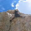 Some dude soloing Irene's Arete! This is the 5.9 stemming variation (5th pitch)...awesome yet nervewracking to watch!