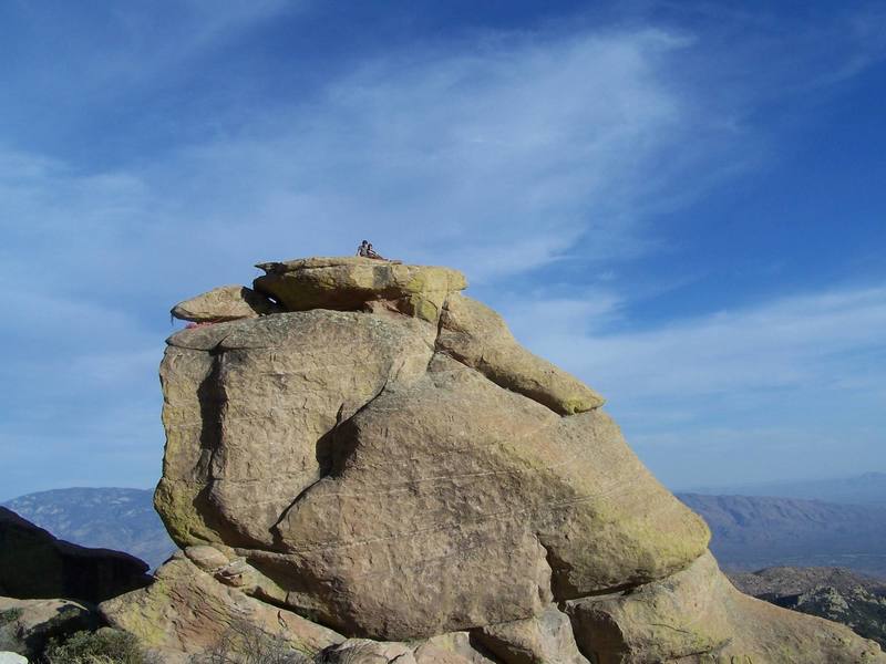 on top of goosehead
