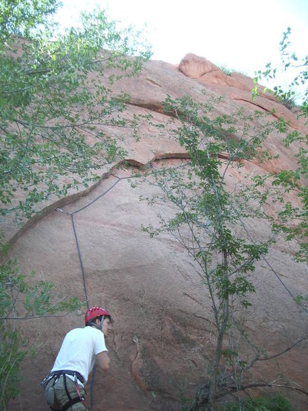 Photo of 2/3 of the route - ending move out of and on top of crack to bolts is behind the tree.