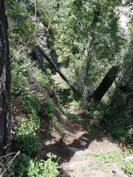 This photo looks down the North Trail just below the steps that lead to the level of Ledge One. The North Trail is in excellent condition as of 7 August 2006.