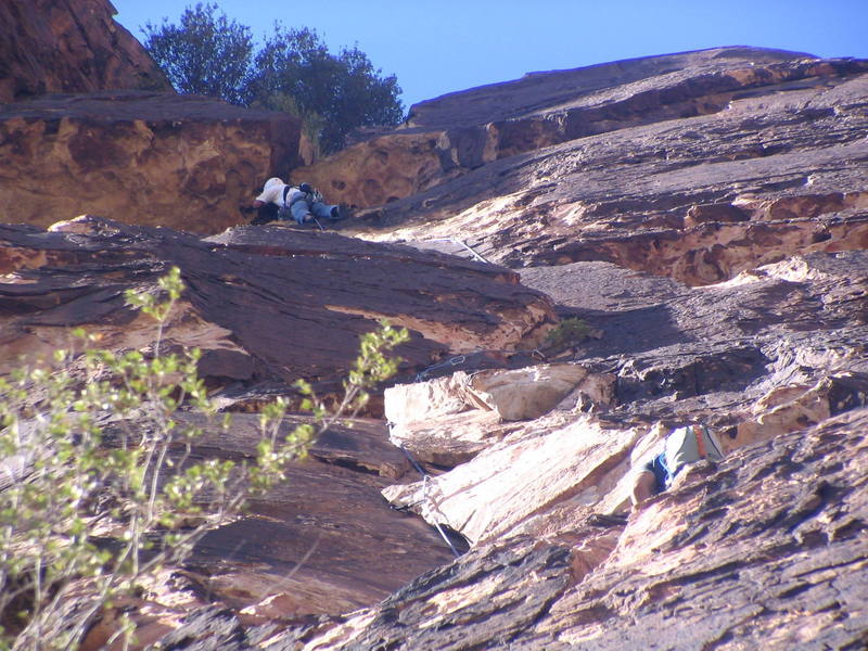 Rex and Ignazio on pitch 2. Rex is leading.