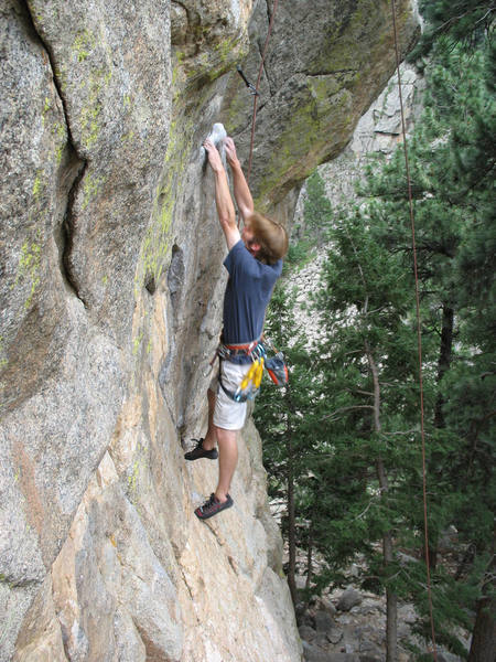 Me making a dyno leap at Animal Riots Activist on Animal World (note, I missed the grip... so sad).