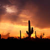 Another Arizona sunset.<br>
Photo by Blitzo.