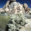 Silver cholla and The Stirrup.<br>
Photo by Blitzo.