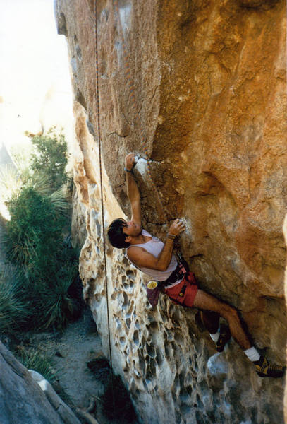 Running laps on Bebop Tango (5.11a), Joshua Tree NP
