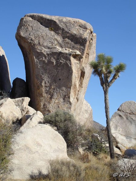 Up 40 (5.11b) runs the overhanging crack on the sunlit south face in the photo.