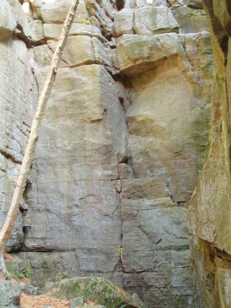 The 5.6 dihedral ascends a line going straight up from the arrow.