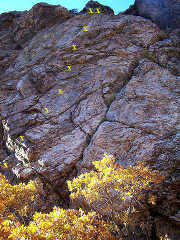 February Summer climbs up the smoothest part of the face to the left of the crack.<br>
Bolts are approximate.