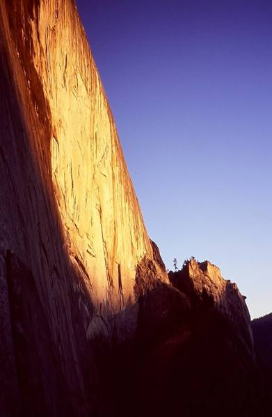 Halfdome in the morning light 2000.