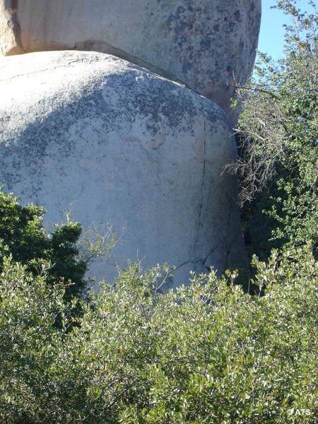 The crack of Get Counseling (5.11d) on the lower portion of Tower One.