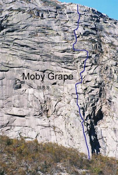 Moby Grape