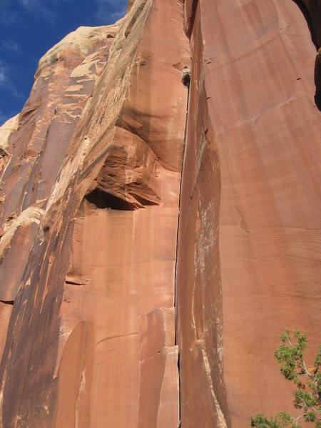 near the top